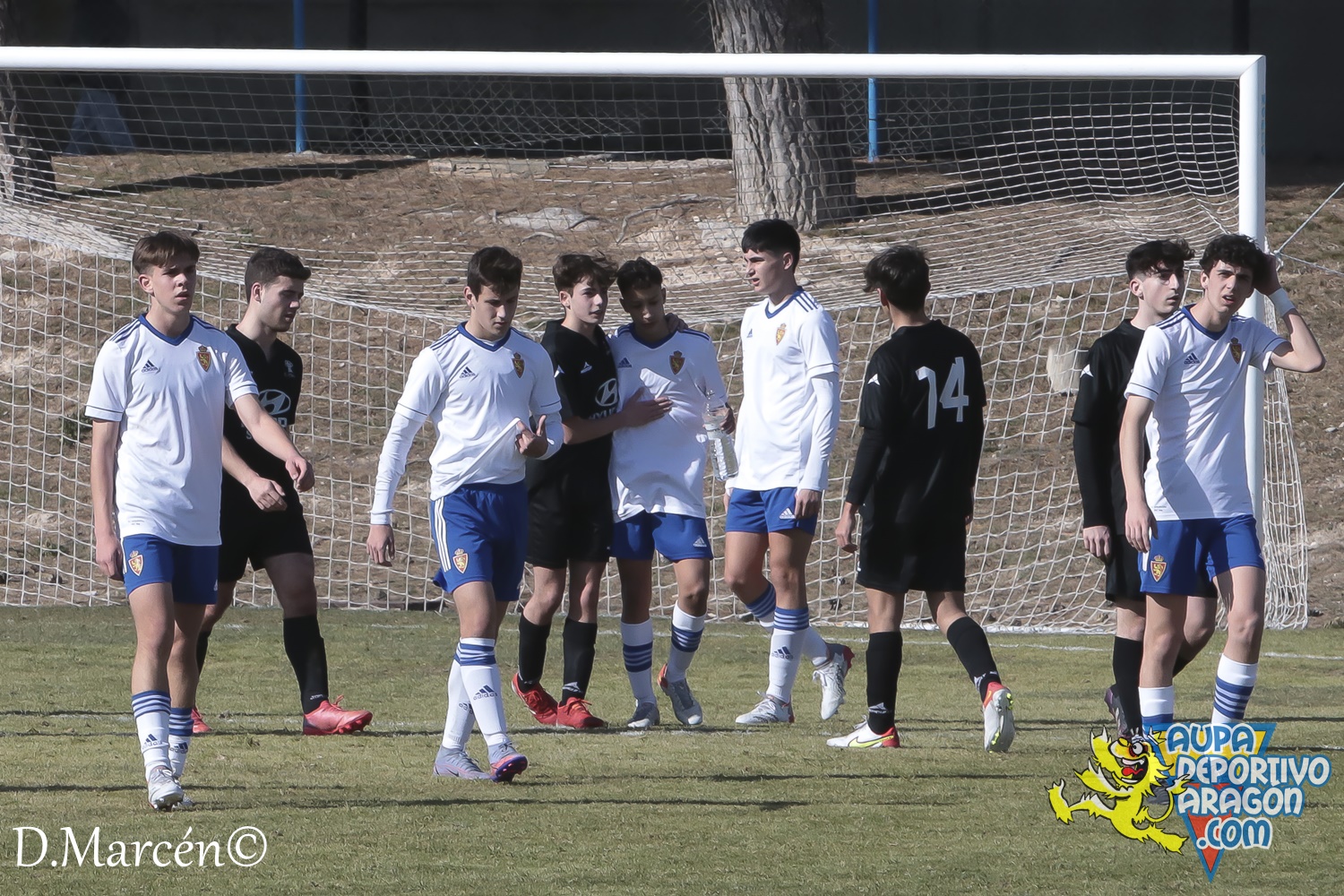 17 - 06-02-2022 - LNJ - R. Zaragoza 4-0 E,M, Olivar (95)