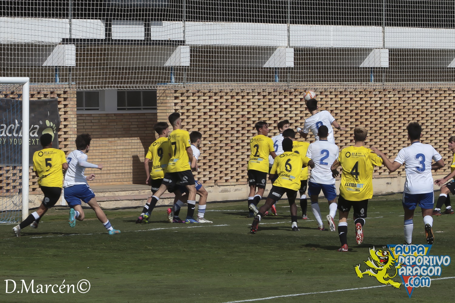 21 - 26-02-2022 - DHJ - R. Zaragoza 3-1 Lleida Esportiu (73)