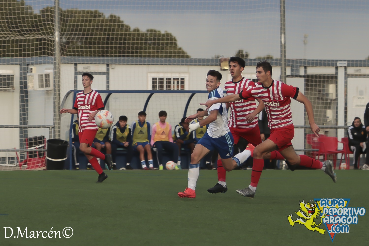 12 - 12-11-2022 - DHJ - R. Zaragoza 3-0 Girona FC (61)