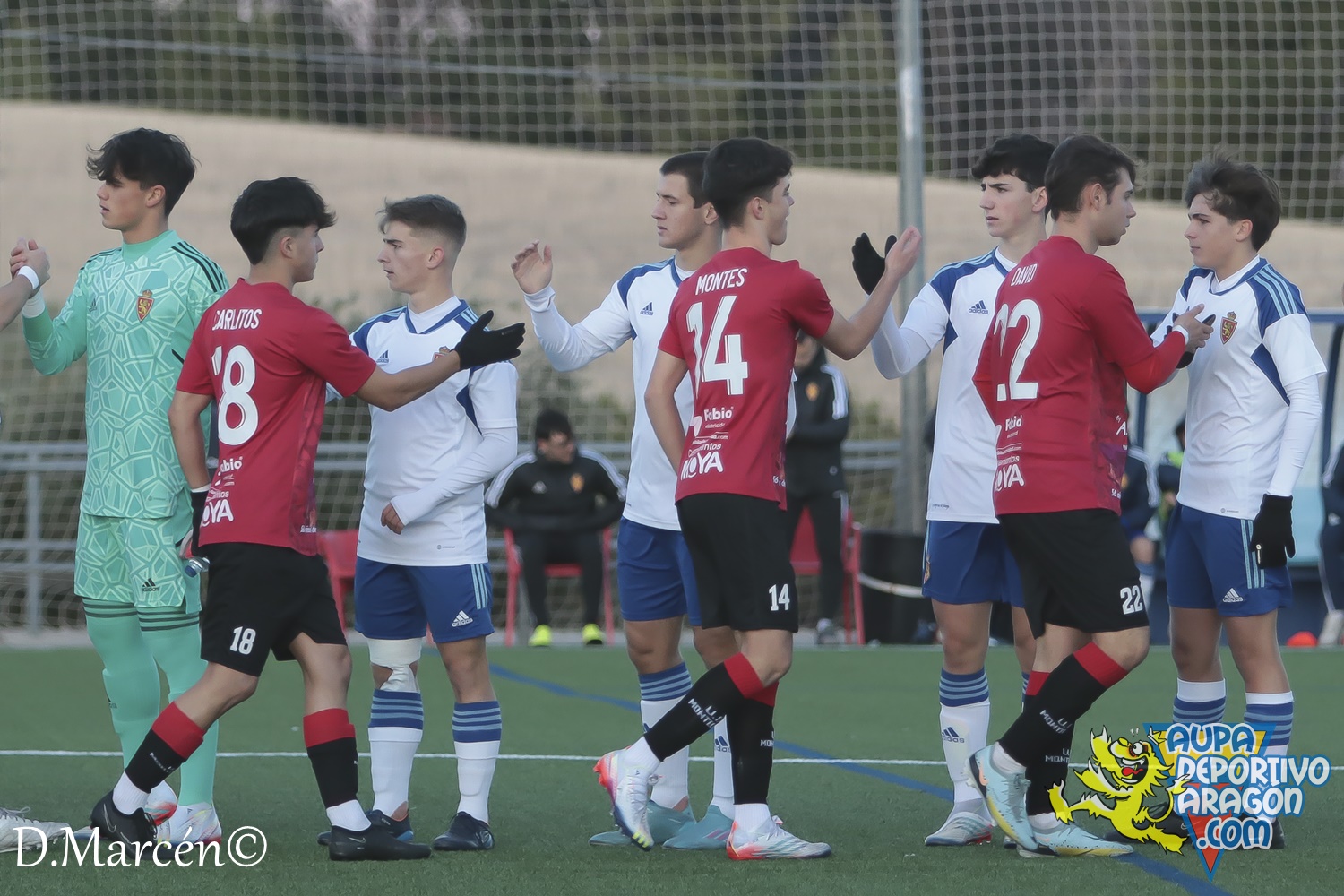 13 - 19-11-2022 - LNJ - R. Zaragoza 3-2 U.D. Montecarlo (3)