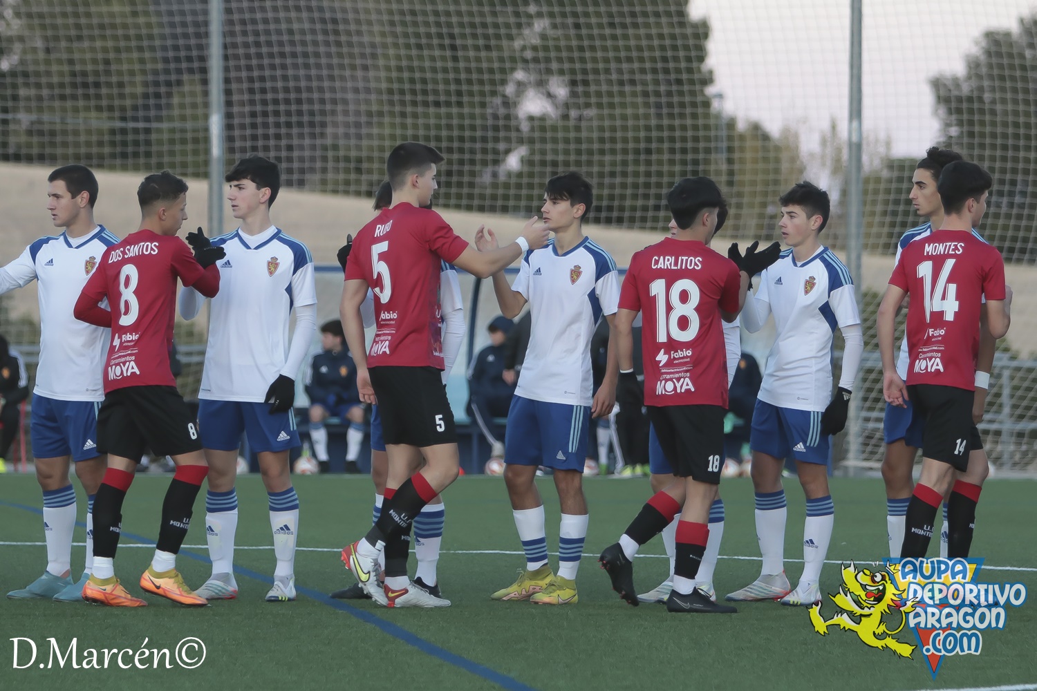 13 - 19-11-2022 - LNJ - R. Zaragoza 3-2 U.D. Montecarlo (4)