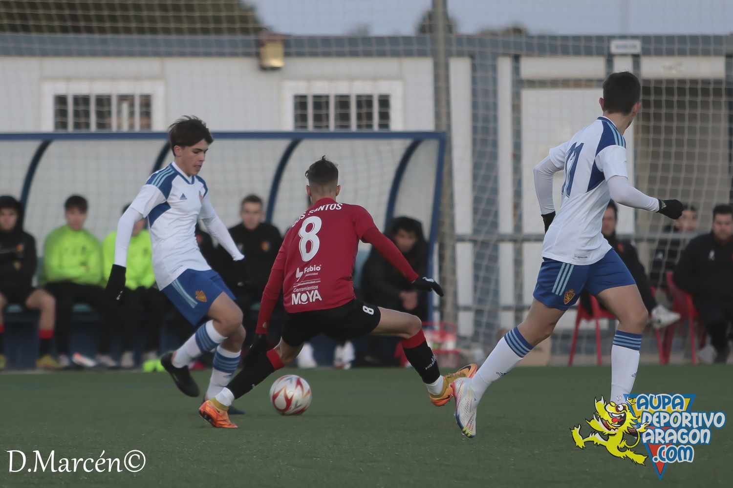 13 - 19-11-2022 - LNJ - R. Zaragoza 3-2 U.D. Montecarlo (8)