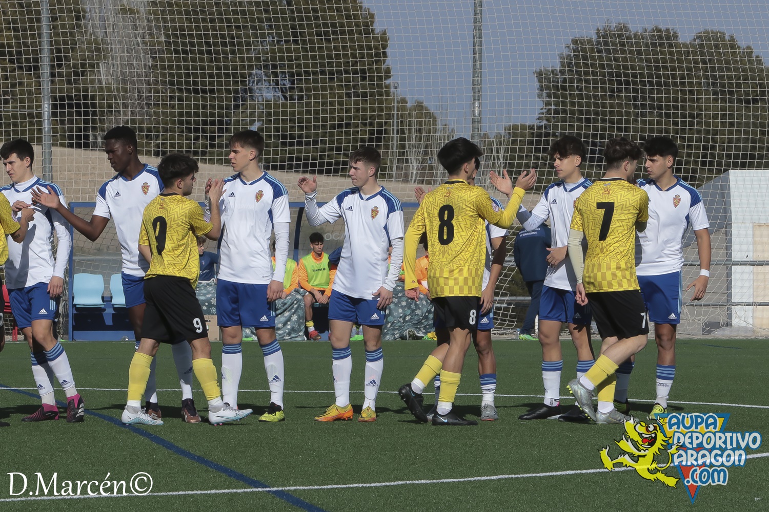 31 - 25-02-2023 - DHJ - R. Zaragoza 2-0 C.F. Badalona (4)