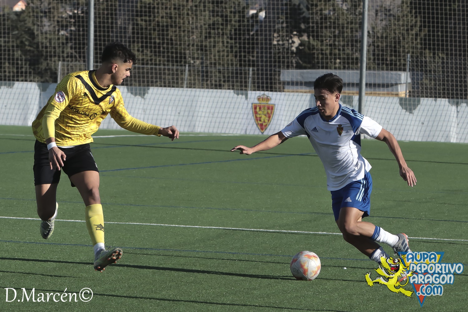 31 - 25-02-2023 - DHJ - R. Zaragoza 2-0 C.F. Badalona (49)