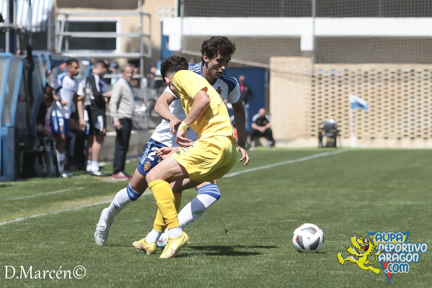 38 - 23-04-2023 - 2ªRFEF - D. Aragón 1-1 Hércules C (86)