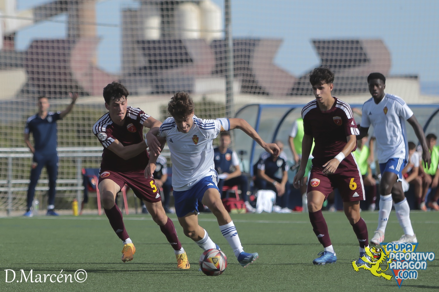 15 - 12-11-2023 - DHJ - R. Zaragoza 1-1 C.D. San Francisco (100)
