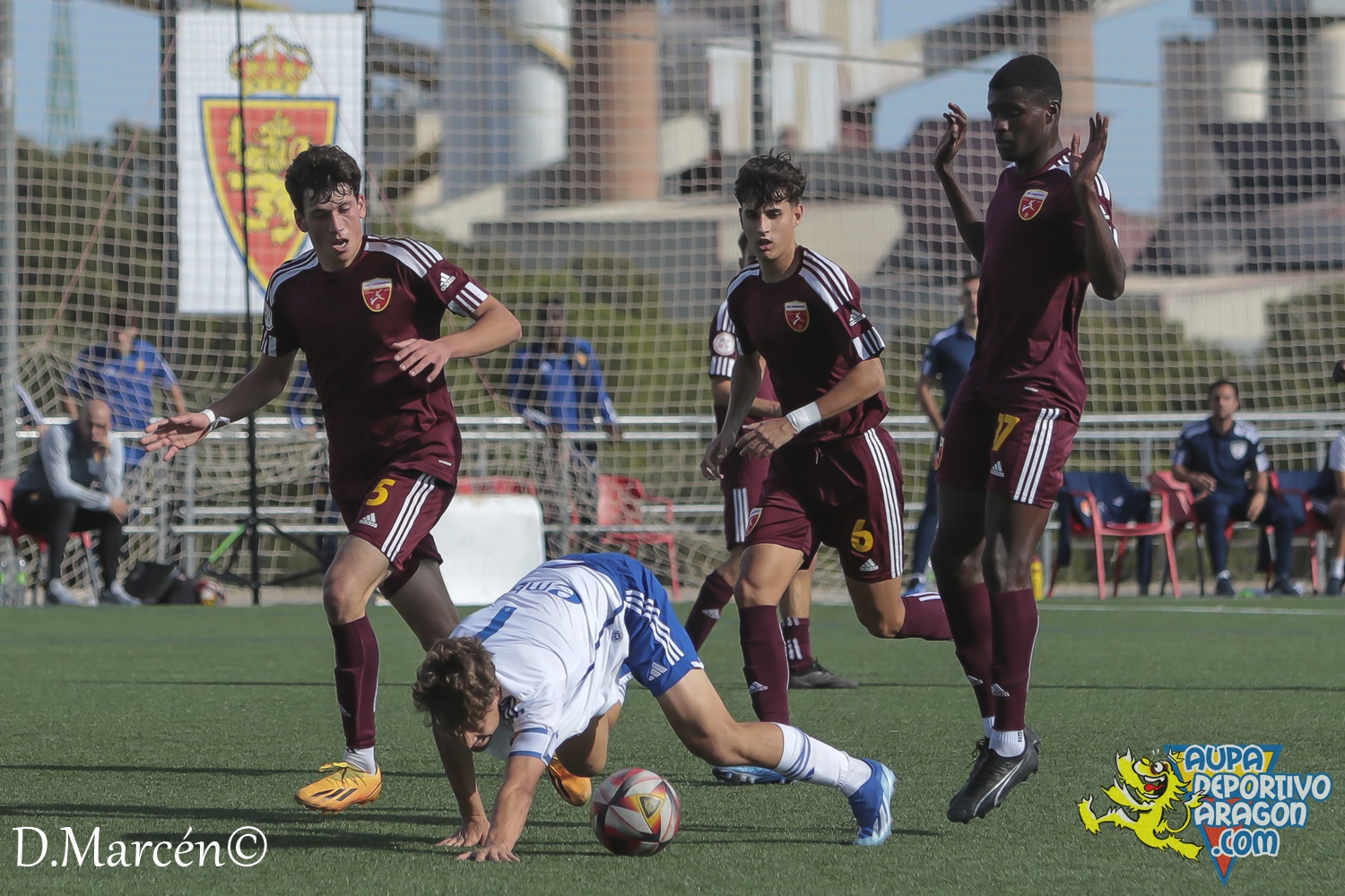 15 - 12-11-2023 - DHJ - R. Zaragoza 1-1 C.D. San Francisco (102)