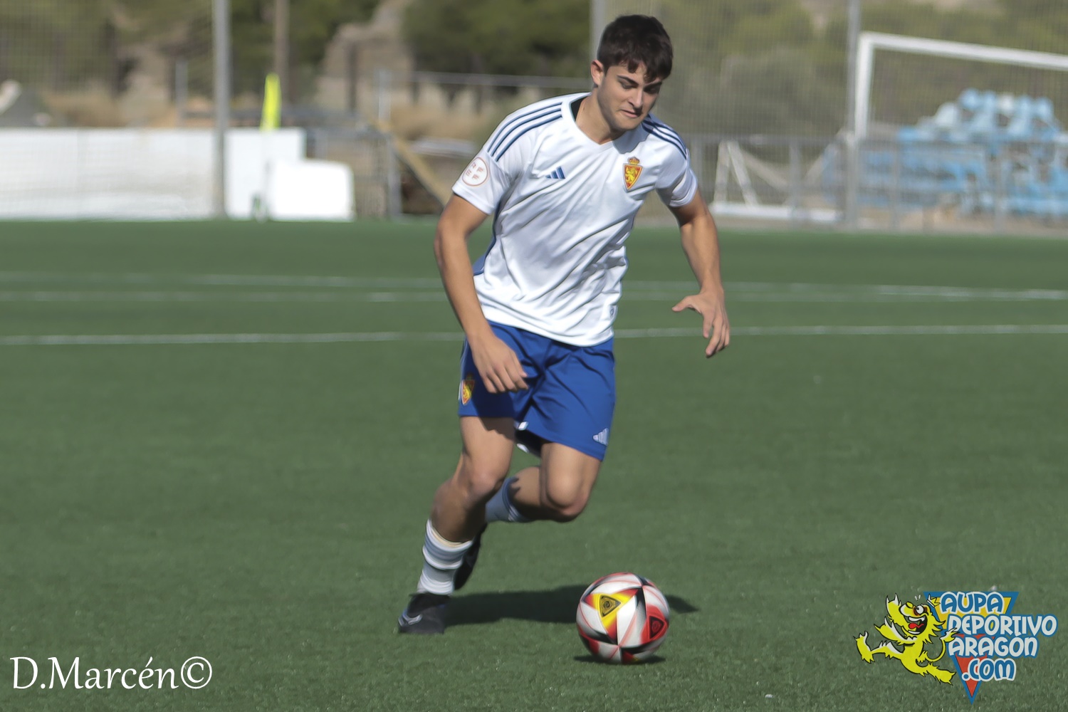 15 - 12-11-2023 - DHJ - R. Zaragoza 1-1 C.D. San Francisco (15)