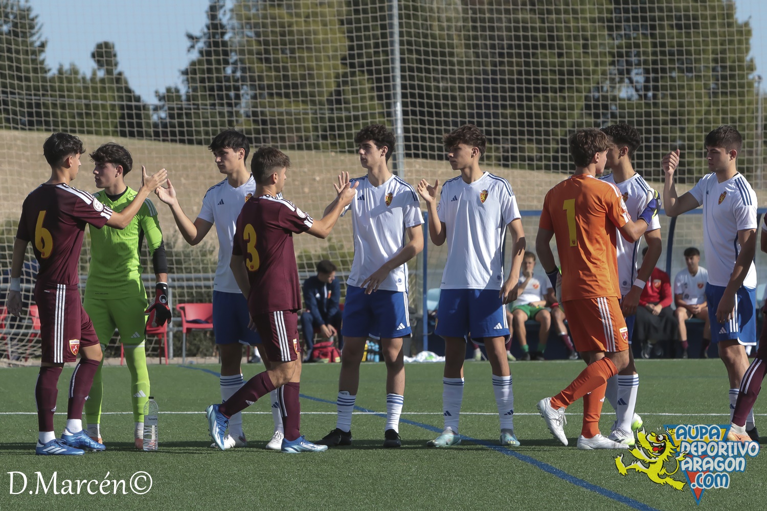 15 - 12-11-2023 - DHJ - R. Zaragoza 1-1 C.D. San Francisco (3)
