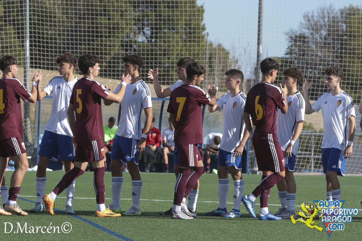 15 - 12-11-2023 - DHJ - R. Zaragoza 1-1 C.D. San Francisco (4)
