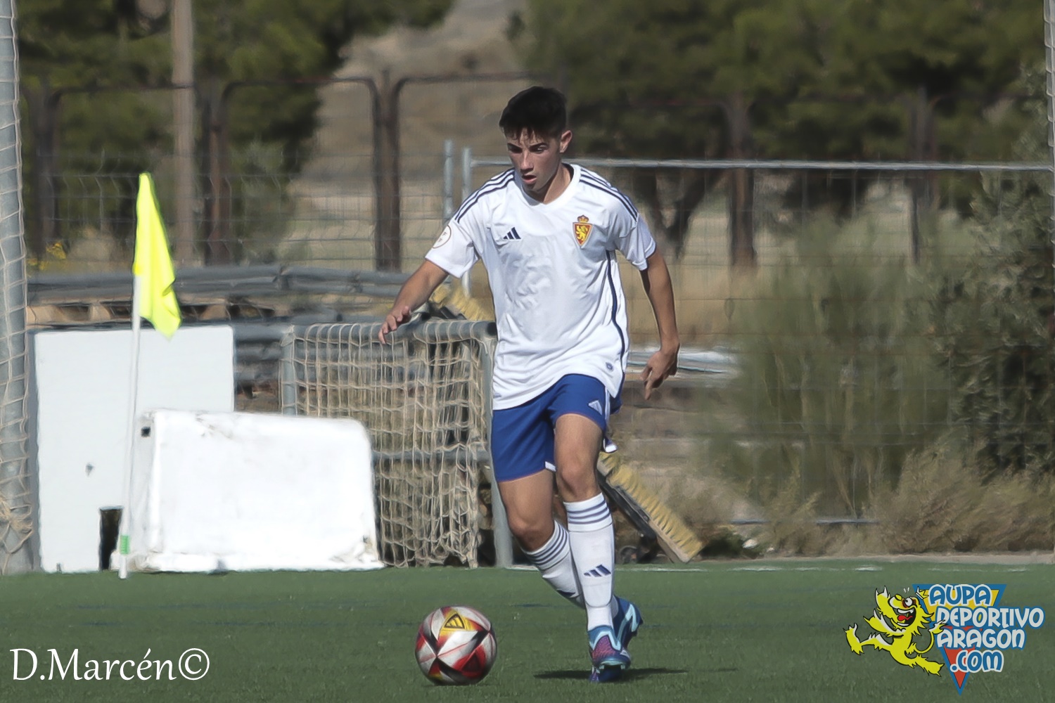 15 - 12-11-2023 - DHJ - R. Zaragoza 1-1 C.D. San Francisco (40)