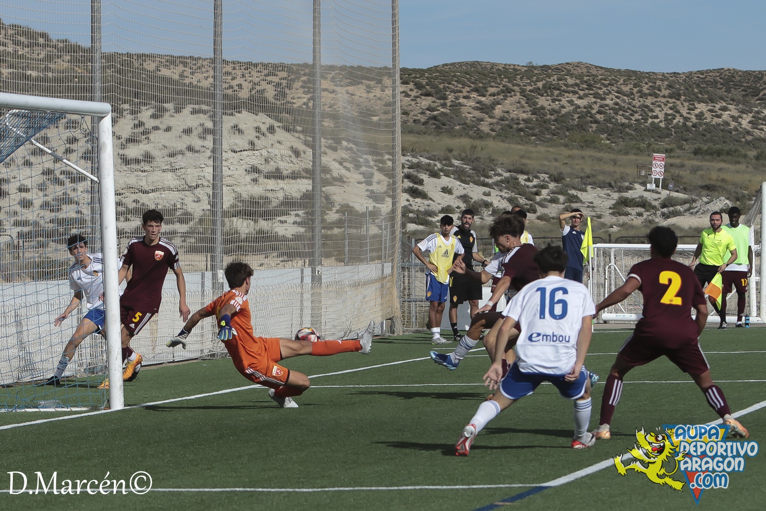 15 - 12-11-2023 - DHJ - R. Zaragoza 1-1 C.D. San Francisco (79)