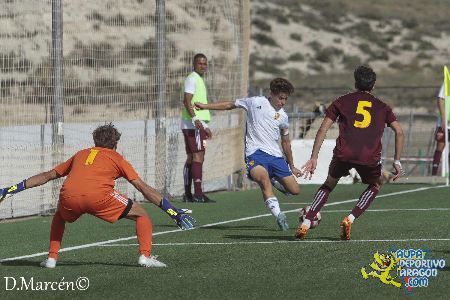 15 - 12-11-2023 - DHJ - R. Zaragoza 1-1 C.D. San Francisco (82)