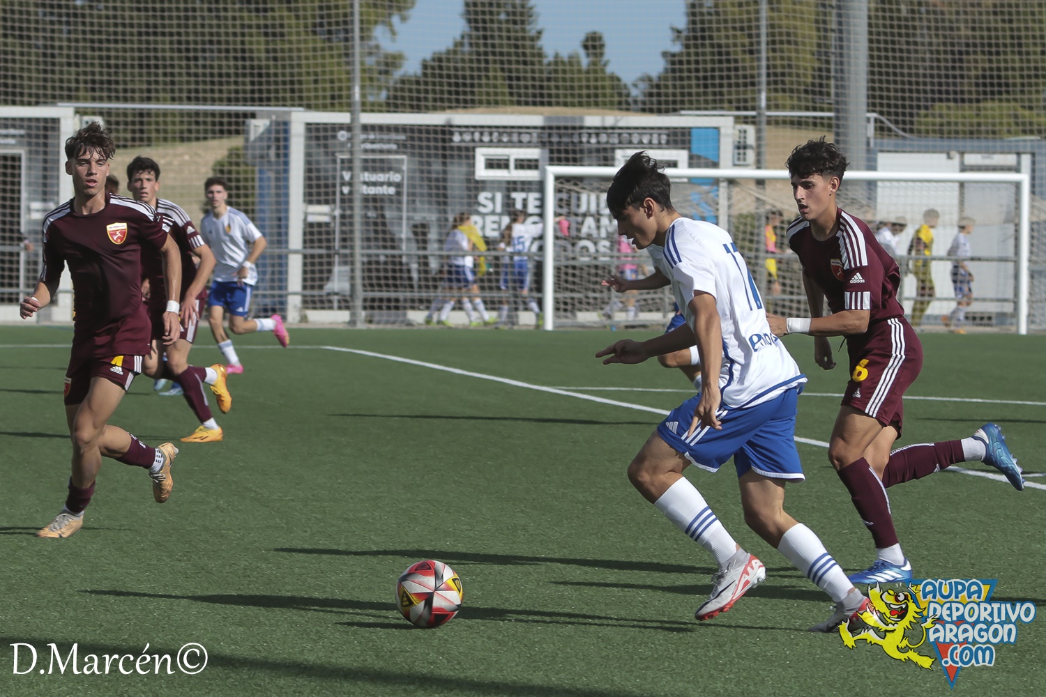 15 - 12-11-2023 - DHJ - R. Zaragoza 1-1 C.D. San Francisco (85)