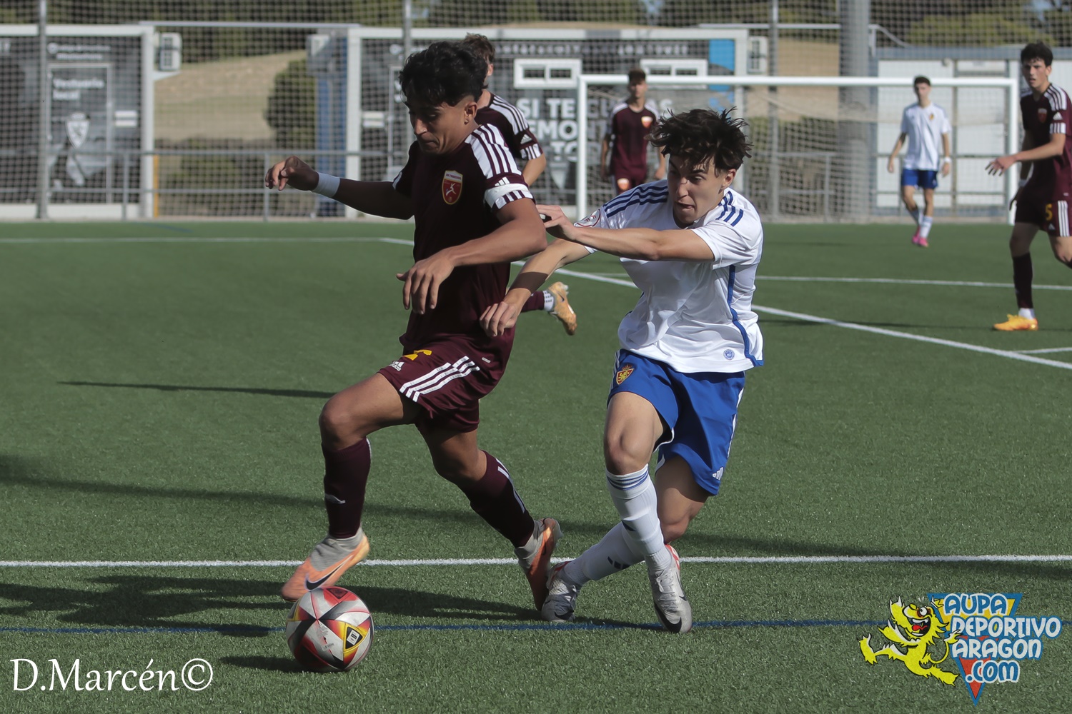 15 - 12-11-2023 - DHJ - R. Zaragoza 1-1 C.D. San Francisco (90)