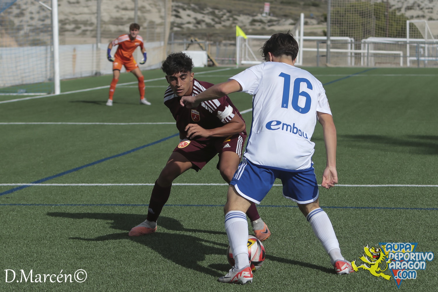 15 - 12-11-2023 - DHJ - R. Zaragoza 1-1 C.D. San Francisco (91)