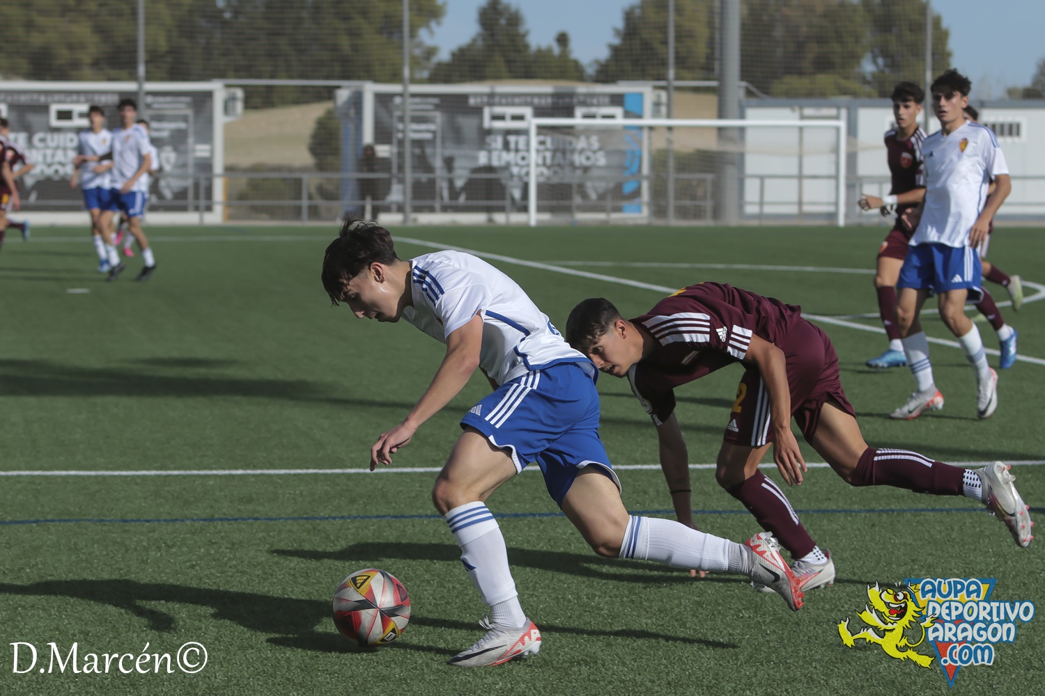 15 - 12-11-2023 - DHJ - R. Zaragoza 1-1 C.D. San Francisco (94)