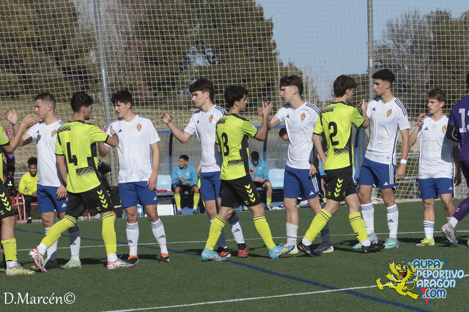 21 - 17-02-2024 - DHJ - R. Zaragoza 1-0 C.E. Sabadell (3)