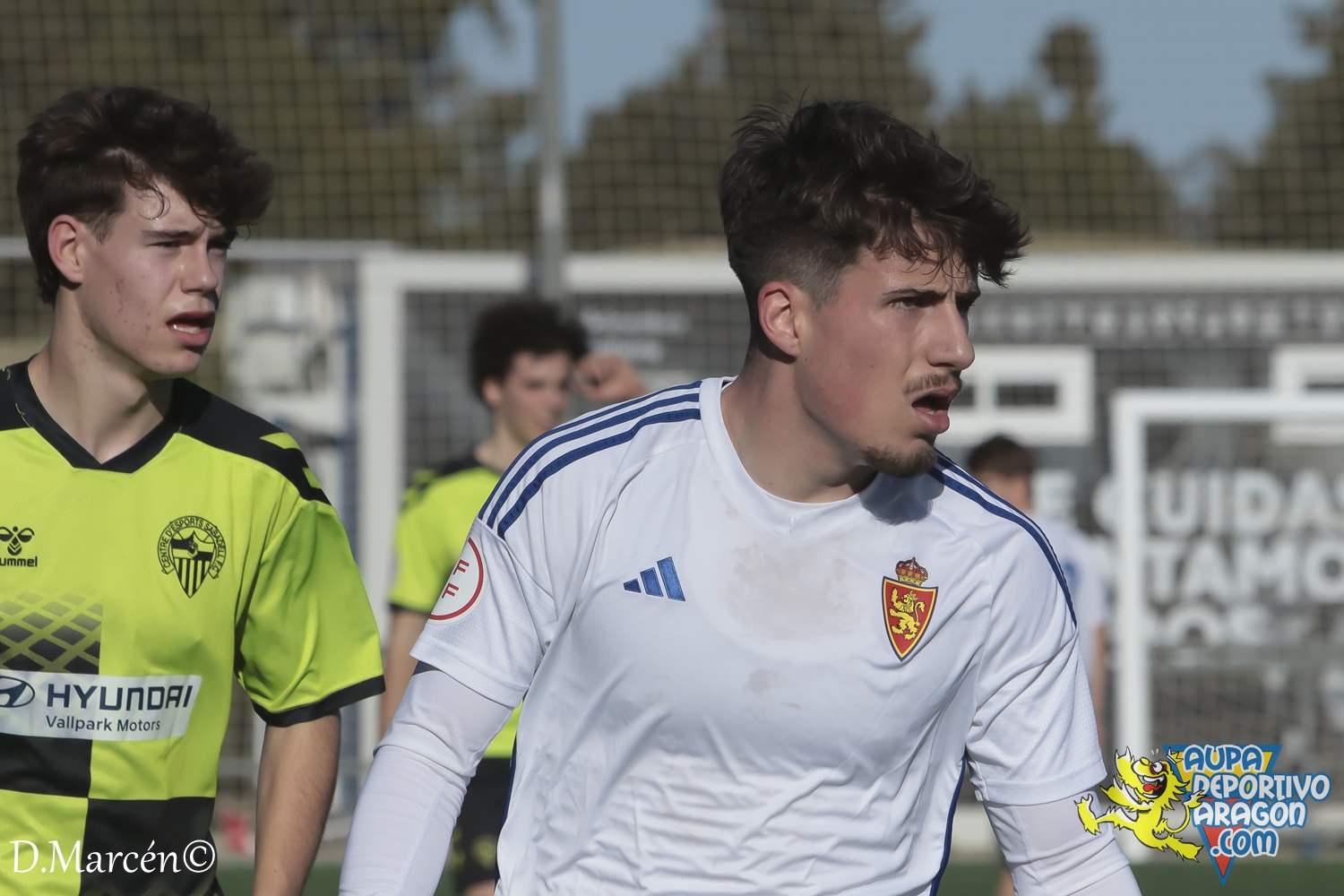 21 - 17-02-2024 - DHJ - R. Zaragoza 1-0 C.E. Sabadell (32)