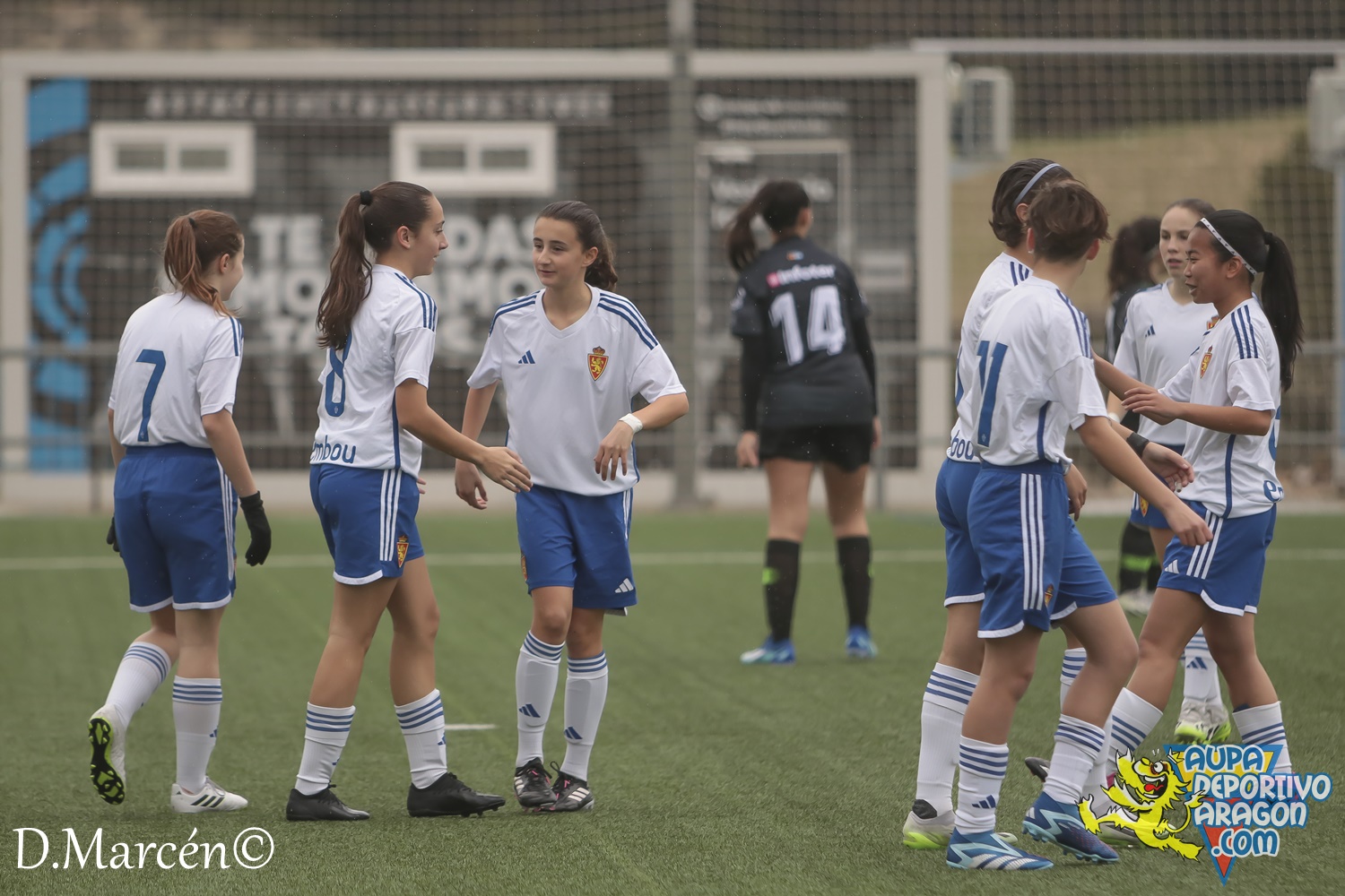 23 - 25-02-2024 - 2ª Femenina - R, Zaragoza 20-0 Fuensport (7)