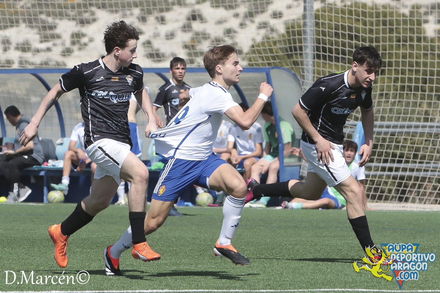 26 - 17-03-2024 - LNJ - R. Zaragoza 5 - 1 Alcañiz C (107)
