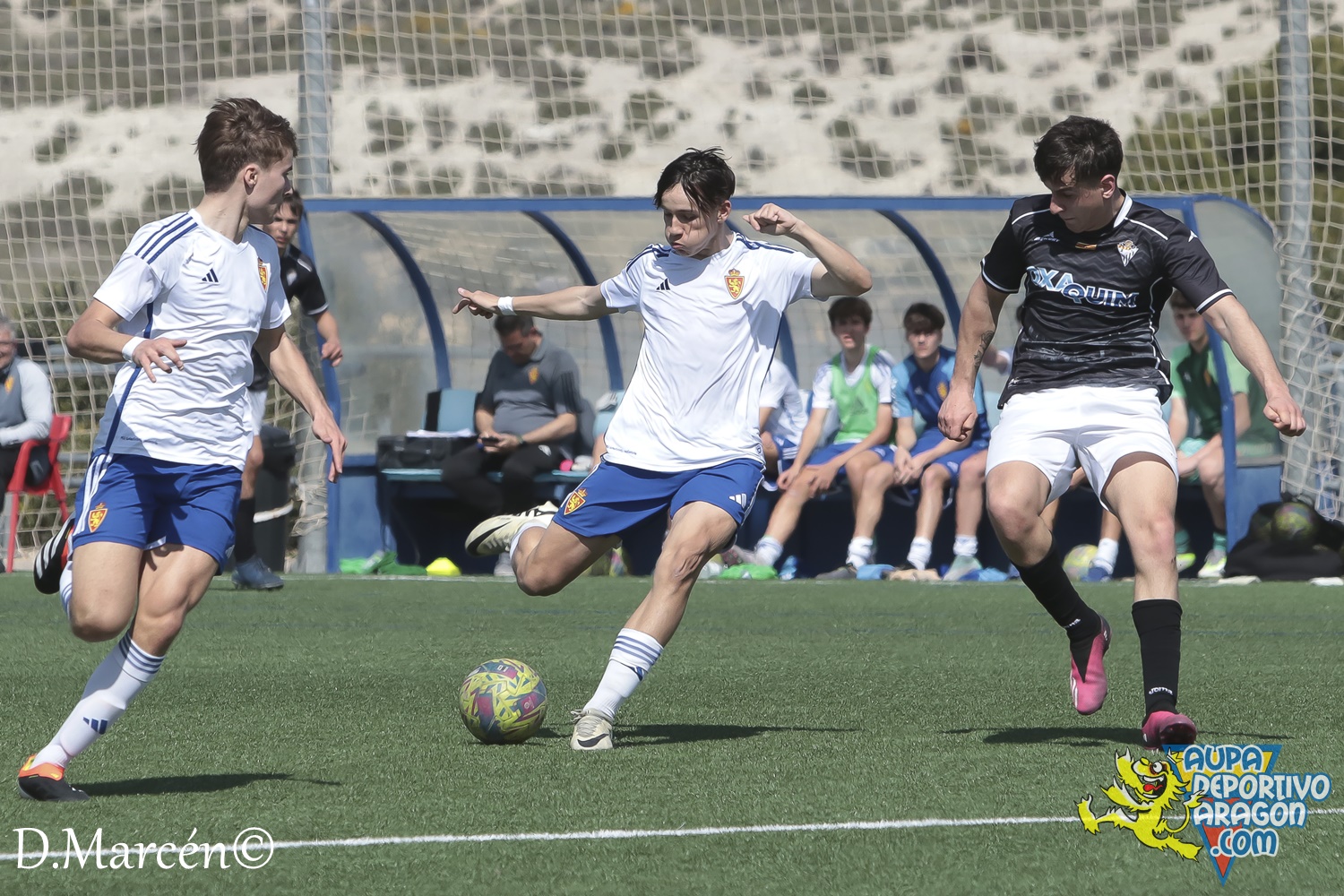 26 - 17-03-2024 - LNJ - R. Zaragoza 5 - 1 Alcañiz C (112)