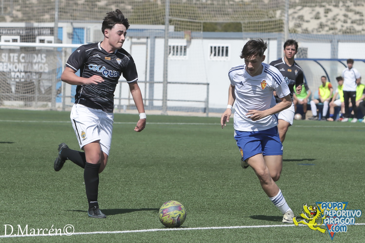 26 - 17-03-2024 - LNJ - R. Zaragoza 5 - 1 Alcañiz C (121)