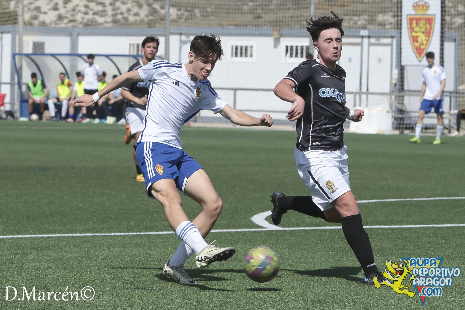 26 - 17-03-2024 - LNJ - R. Zaragoza 5 - 1 Alcañiz C (122)