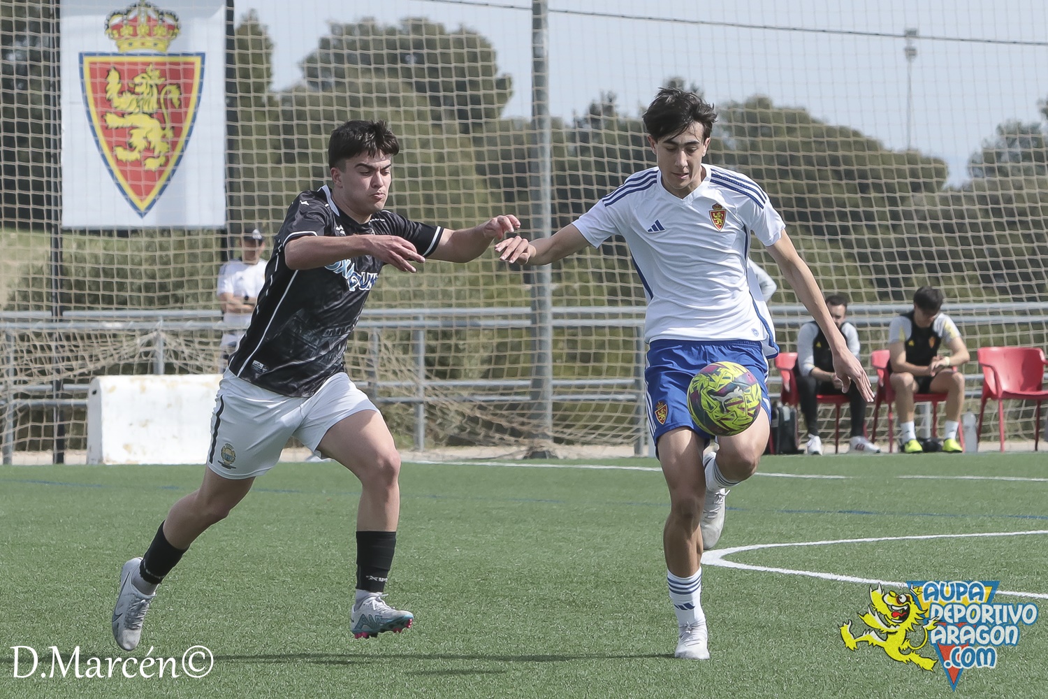 26 - 17-03-2024 - LNJ - R. Zaragoza 5 - 1 Alcañiz C (16)