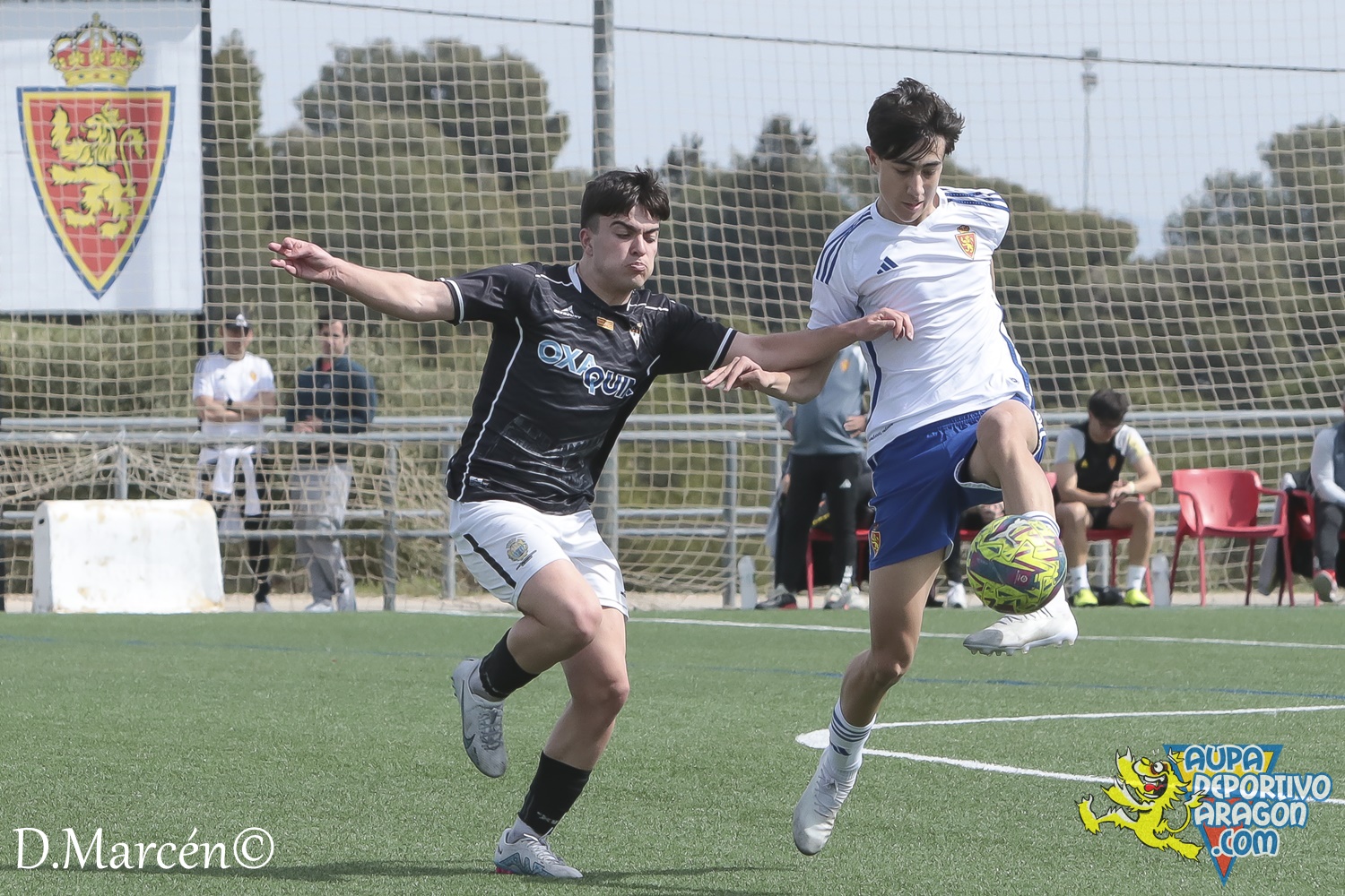 26 - 17-03-2024 - LNJ - R. Zaragoza 5 - 1 Alcañiz C (17)