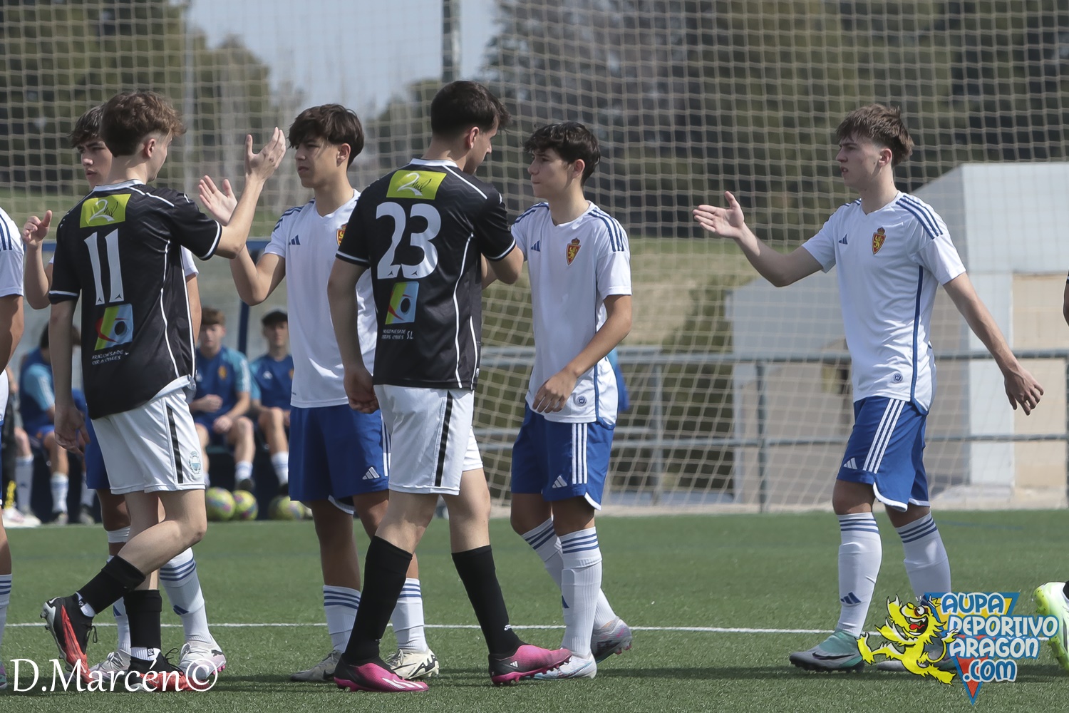 26 - 17-03-2024 - LNJ - R. Zaragoza 5 - 1 Alcañiz C (4)