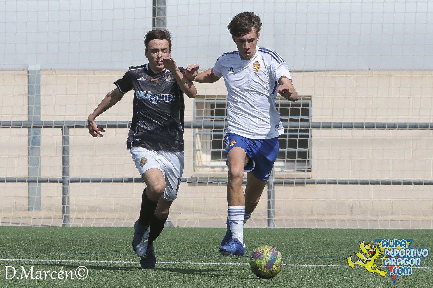 26 - 17-03-2024 - LNJ - R. Zaragoza 5 - 1 Alcañiz C (62)