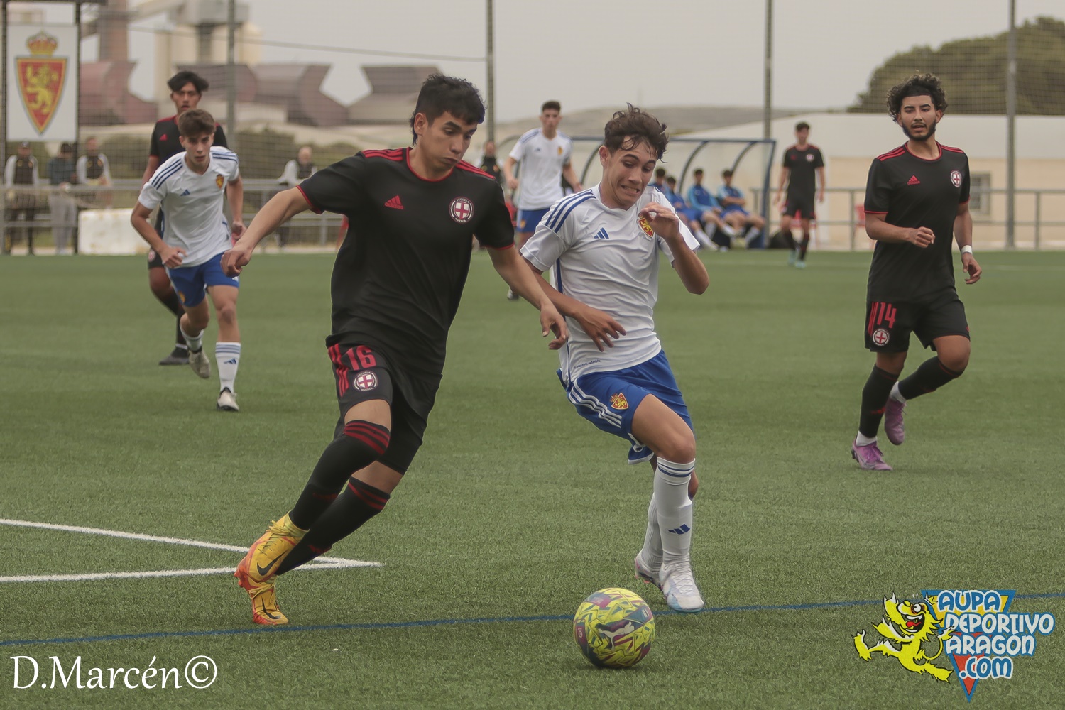 29 - 07-04-2024 - LNJ - R. Zaragoza 1-2 IPC Escuela Huesca (39)