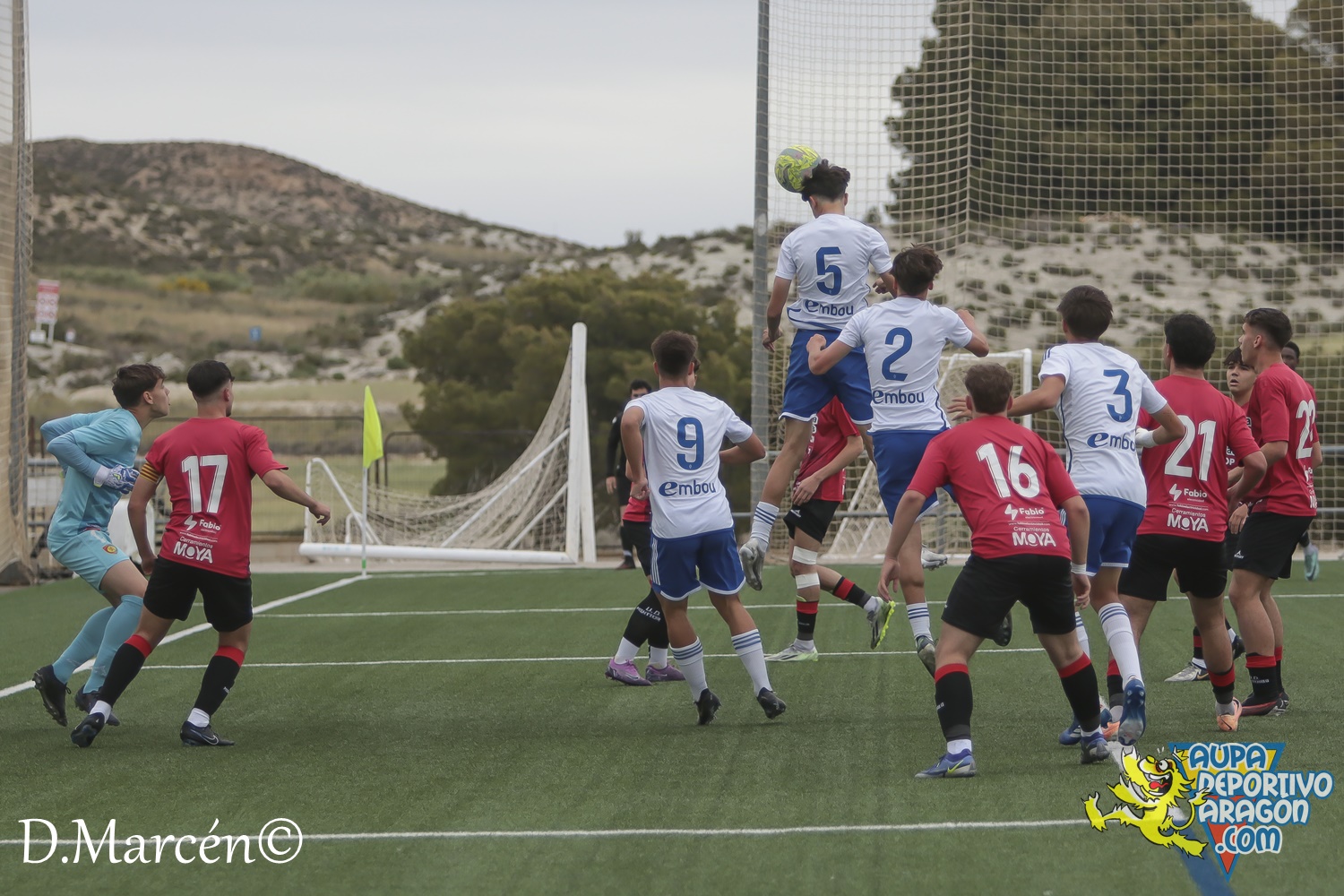 38 - 19-05-2024 - LNJ - R. Zatagoza 6-0 U.D. Montecarlo (11)