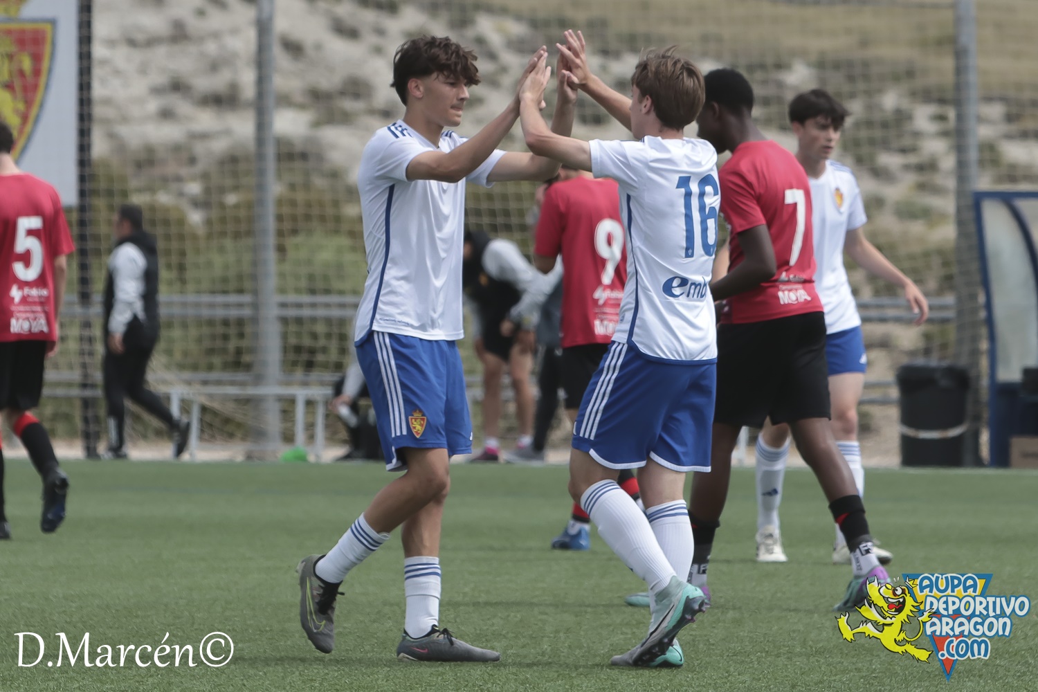 38 - 19-05-2024 - LNJ - R. Zatagoza 6-0 U.D. Montecarlo (110)