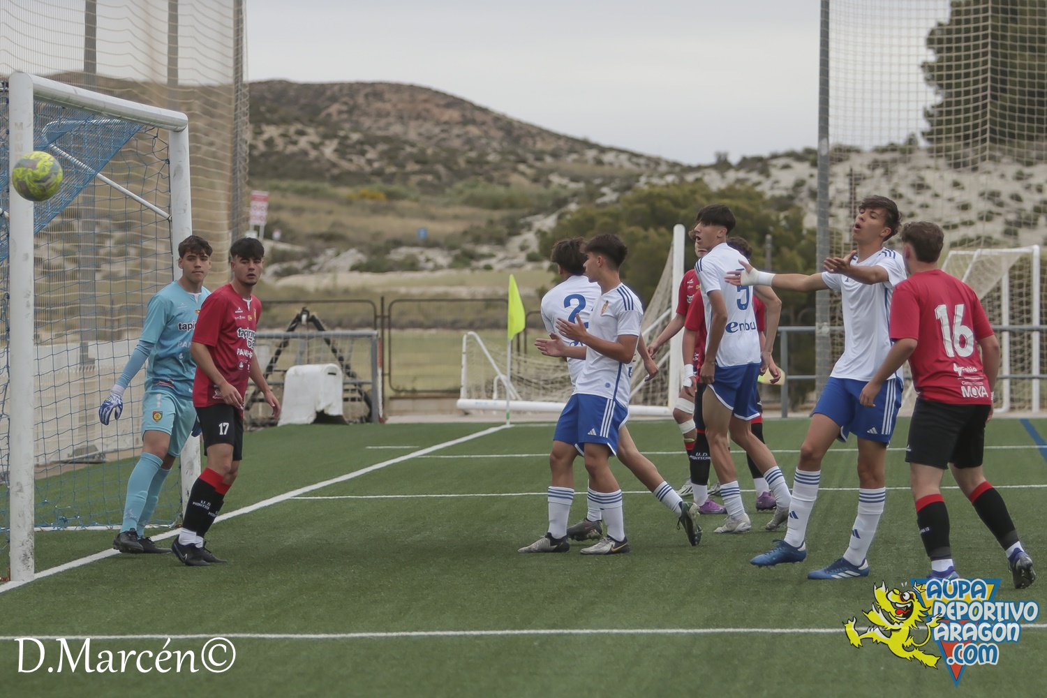 38 - 19-05-2024 - LNJ - R. Zatagoza 6-0 U.D. Montecarlo (12)