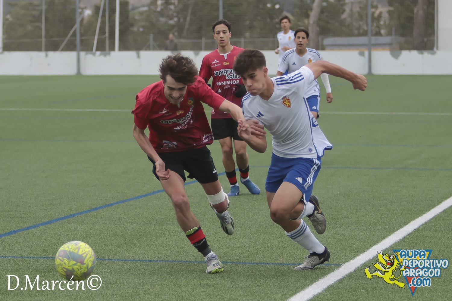 38 - 19-05-2024 - LNJ - R. Zatagoza 6-0 U.D. Montecarlo (13)