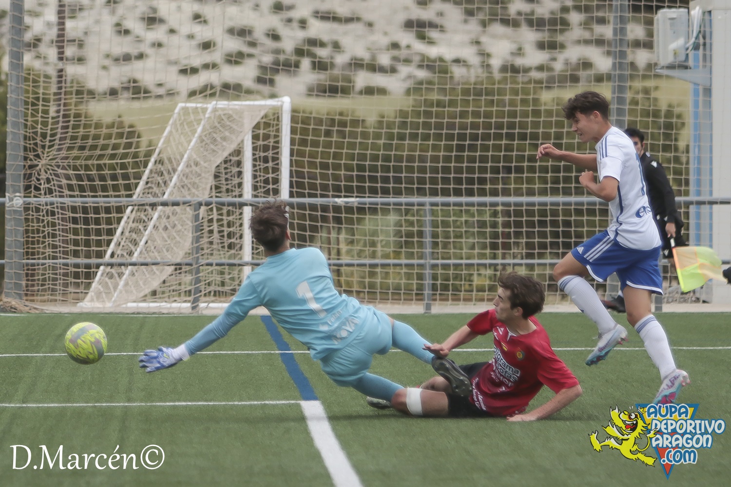 38 - 19-05-2024 - LNJ - R. Zatagoza 6-0 U.D. Montecarlo (15)