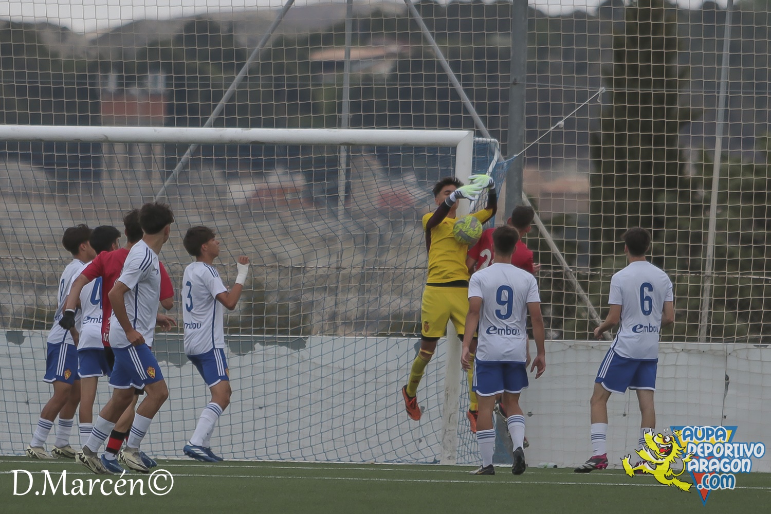38 - 19-05-2024 - LNJ - R. Zatagoza 6-0 U.D. Montecarlo (16)