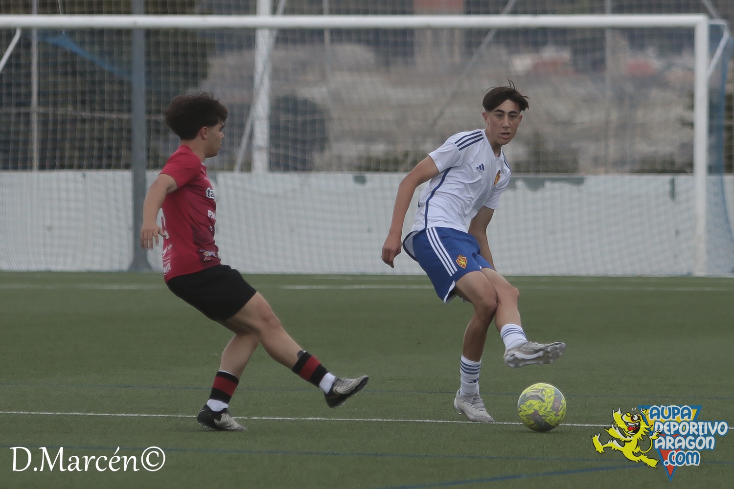 38 - 19-05-2024 - LNJ - R. Zatagoza 6-0 U.D. Montecarlo (17)