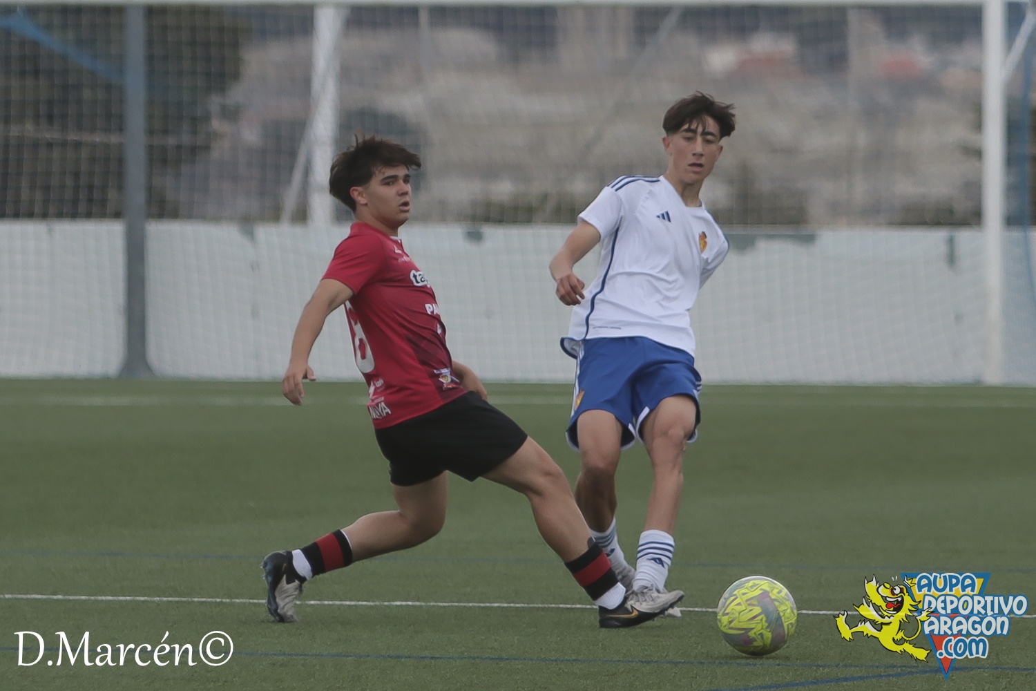 38 - 19-05-2024 - LNJ - R. Zatagoza 6-0 U.D. Montecarlo (18)