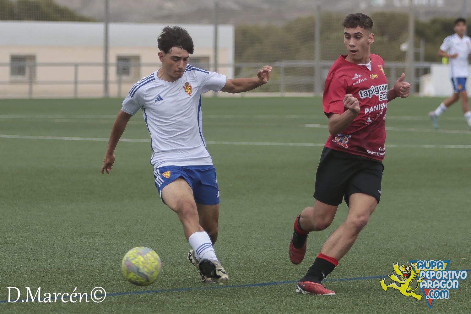 38 - 19-05-2024 - LNJ - R. Zatagoza 6-0 U.D. Montecarlo (19)
