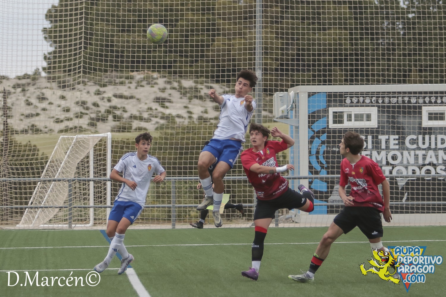 38 - 19-05-2024 - LNJ - R. Zatagoza 6-0 U.D. Montecarlo (20)