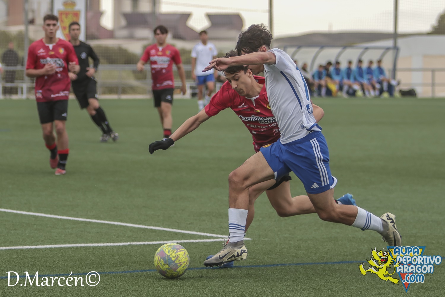 38 - 19-05-2024 - LNJ - R. Zatagoza 6-0 U.D. Montecarlo (23)
