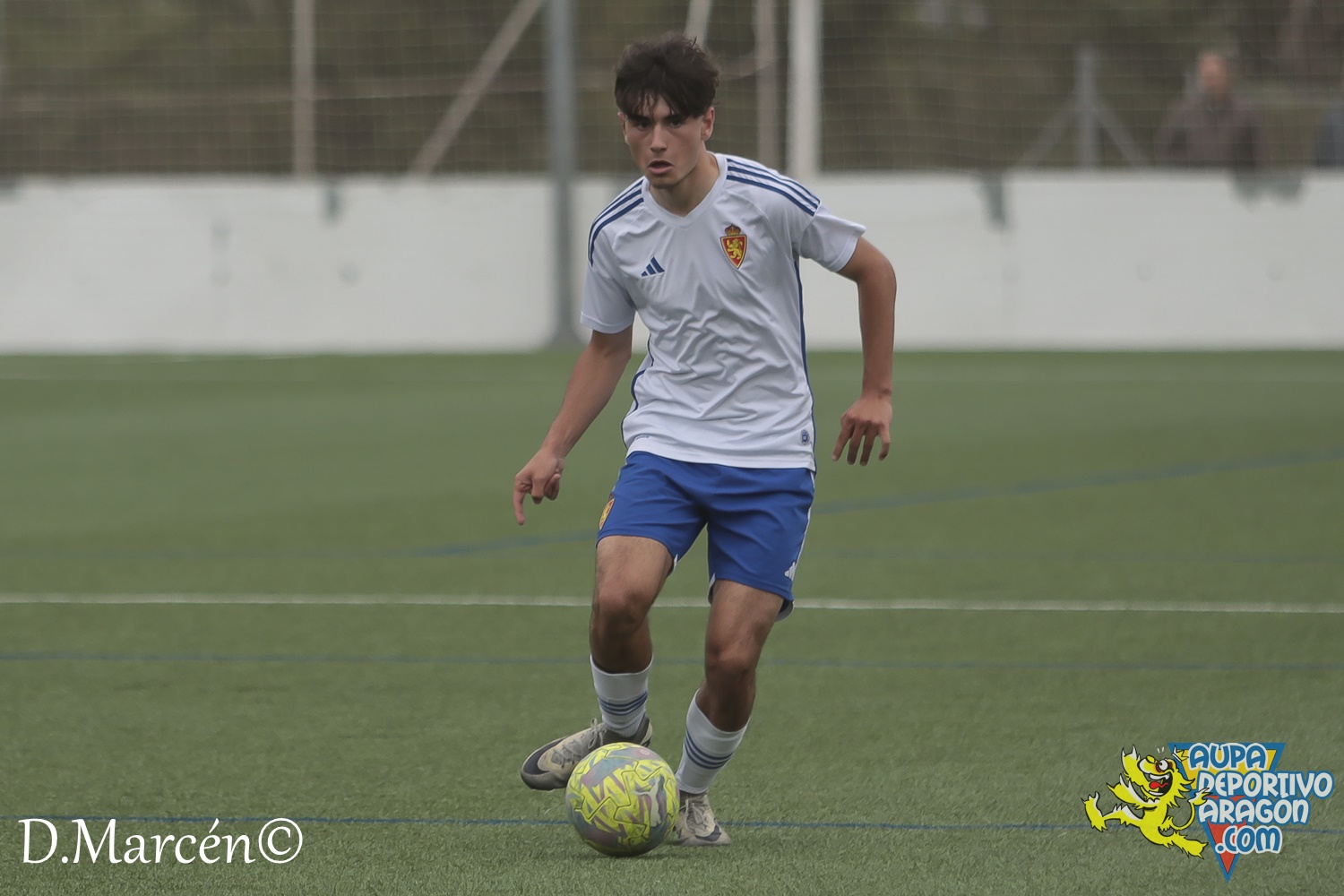 38 - 19-05-2024 - LNJ - R. Zatagoza 6-0 U.D. Montecarlo (25)