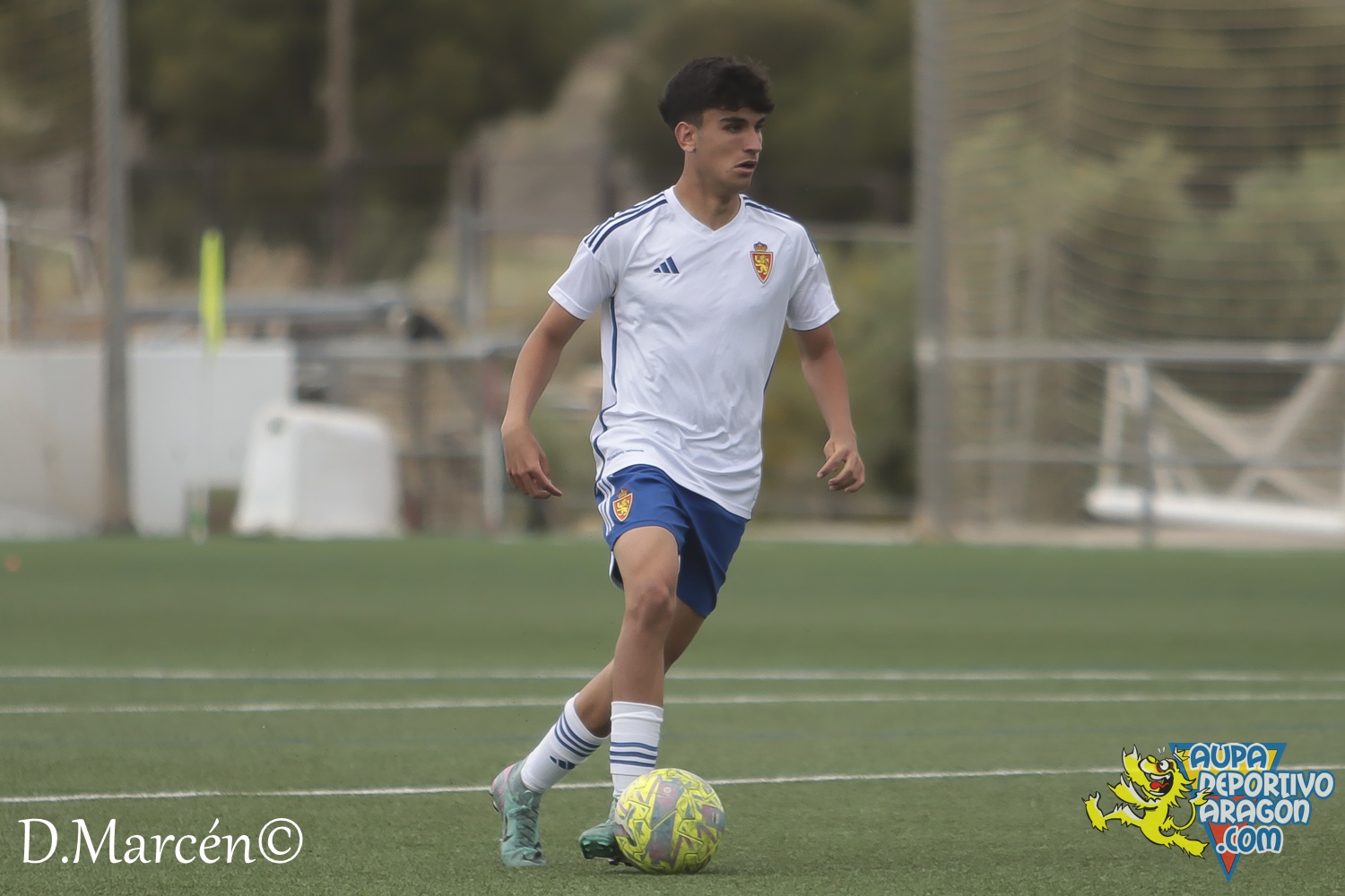 38 - 19-05-2024 - LNJ - R. Zatagoza 6-0 U.D. Montecarlo (30)
