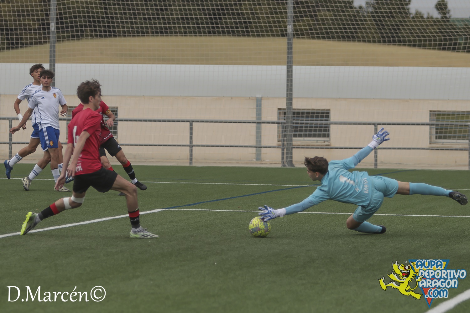 38 - 19-05-2024 - LNJ - R. Zatagoza 6-0 U.D. Montecarlo (33)
