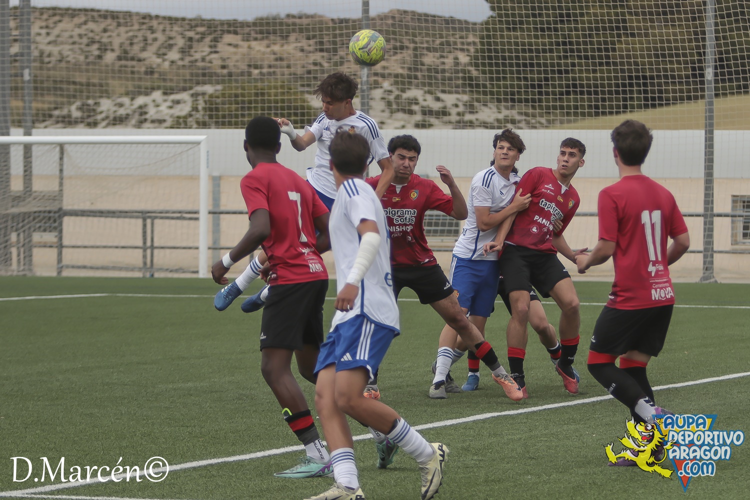 38 - 19-05-2024 - LNJ - R. Zatagoza 6-0 U.D. Montecarlo (35)
