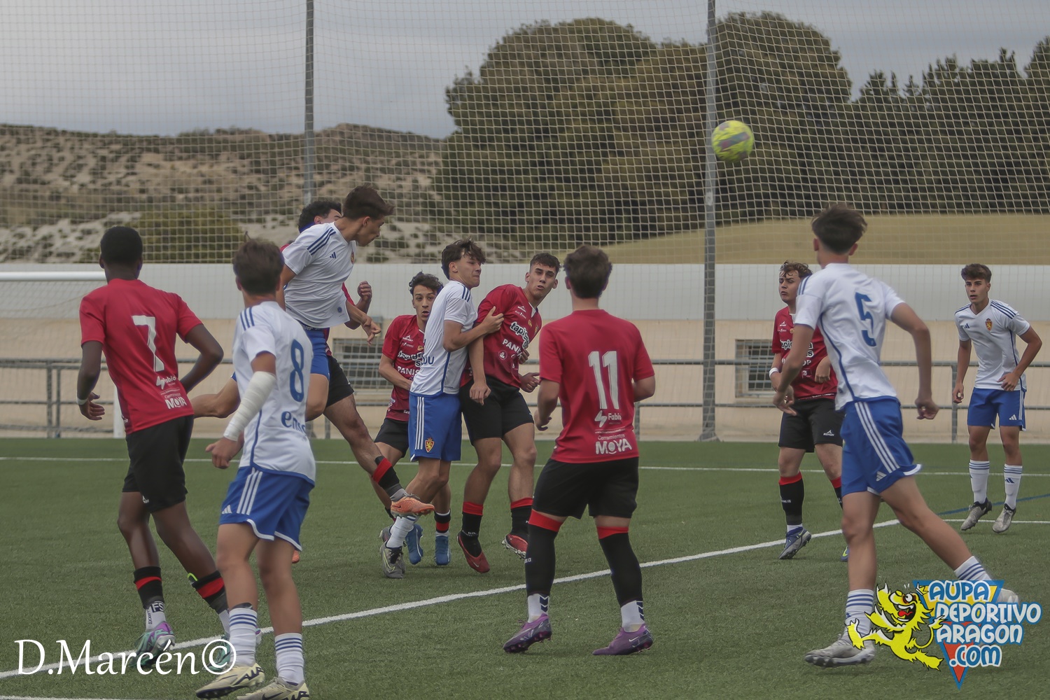 38 - 19-05-2024 - LNJ - R. Zatagoza 6-0 U.D. Montecarlo (36)