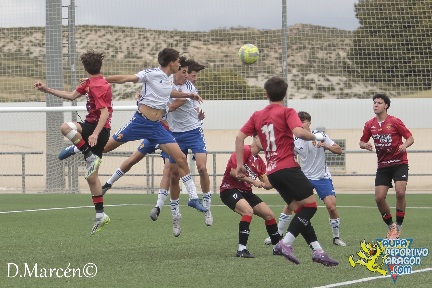 38 - 19-05-2024 - LNJ - R. Zatagoza 6-0 U.D. Montecarlo (42)